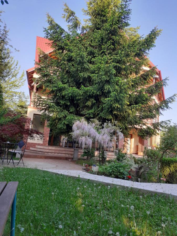 Отель Casa Stefandra Бряза Экстерьер фото